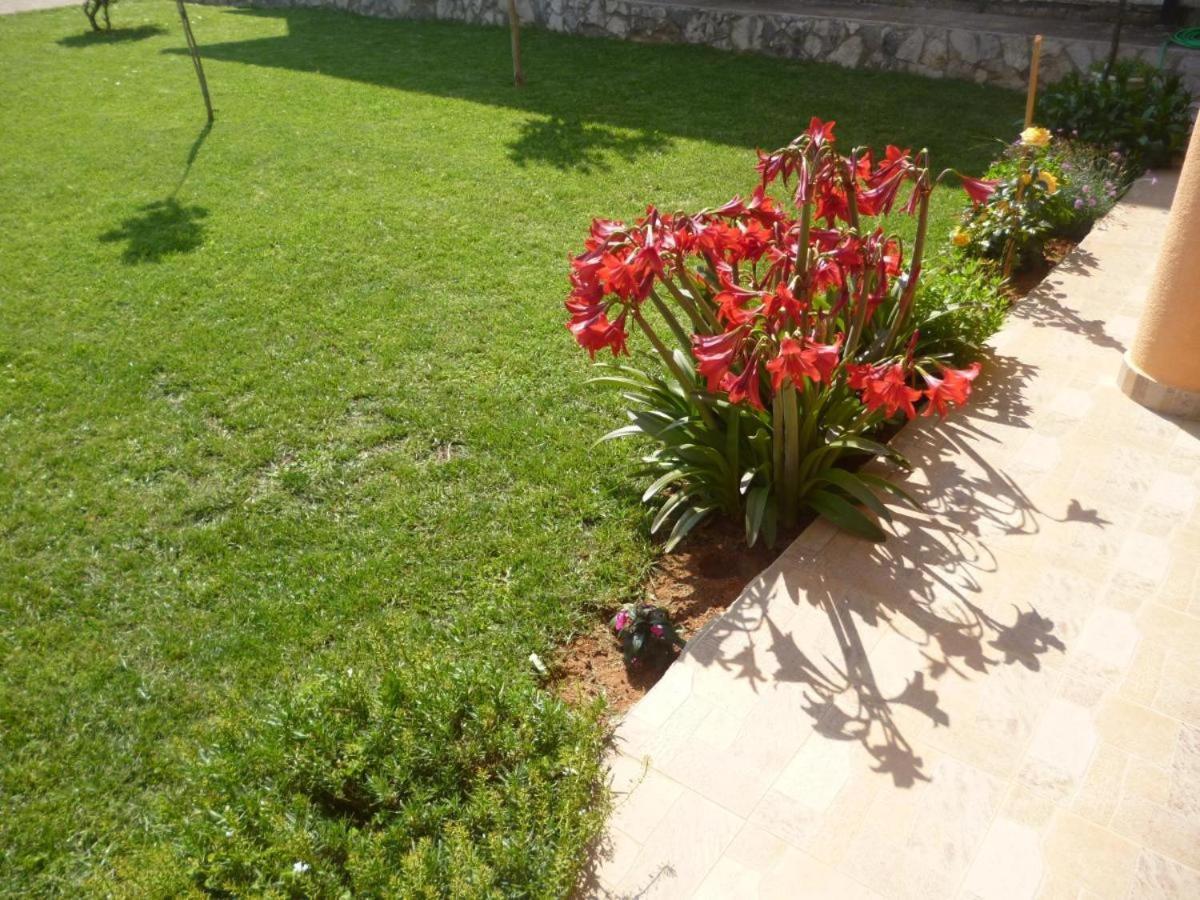 Apartments And Rooms Mara I Pavo Međugorje מראה חיצוני תמונה